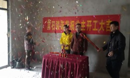 琥珀五环城9#01户