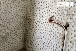 滨湖家园23#