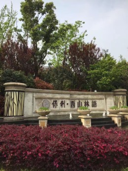 保利西山林语A1#杨总家