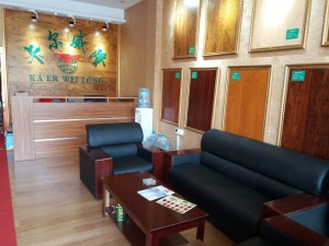 公司介绍